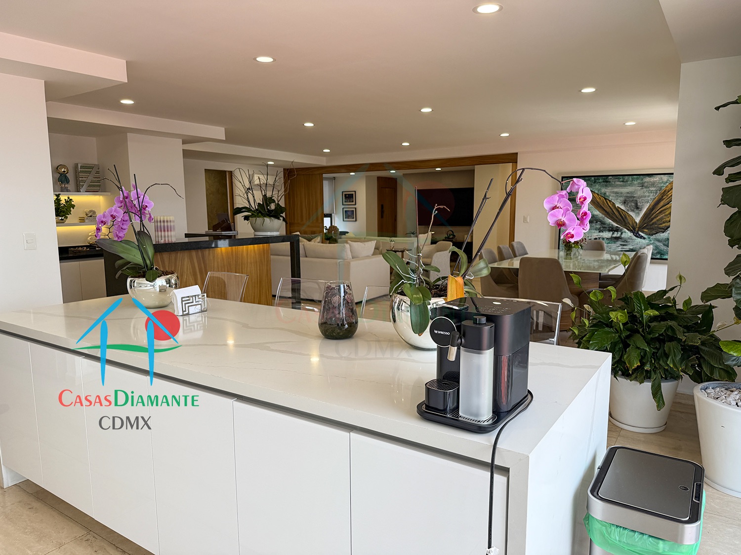 Río Magdalena Magda BFJ - Cocina 9